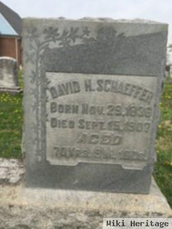 David H Schaeffer