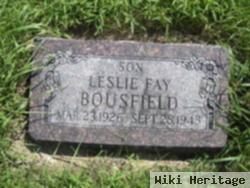 Leslie Fay Bousfield