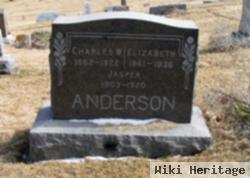 Charles W. Anderson