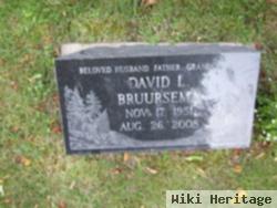 David L. Bruursema