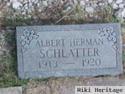 Albert Herman Schlatter