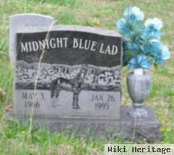 Midnight Blue Lad