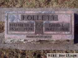 David E Follett