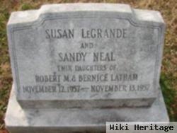 Sandy Neal Mayhew