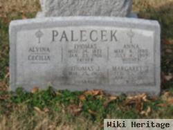 Thomas J Palecek