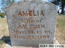 Amelia St. John Bristol Bush