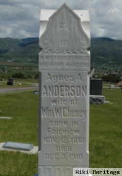 Agnes Anderson Cheney