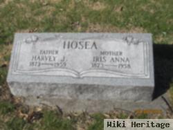 Harvey J Hosea