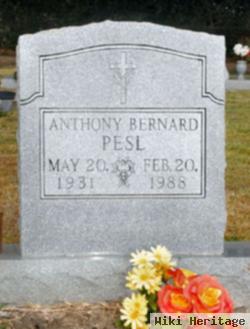 Anthony Bernard "tony" Pesl