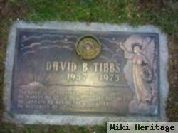 David B. Tibbs