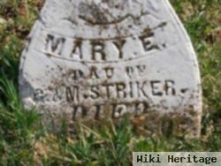 Mary E Striker