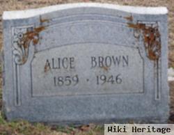 Alice Campbell Brown