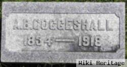 Abe Badell "a.b." Coggeshall