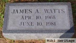 James Allen Watts