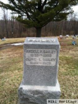 Ansell P Bailey