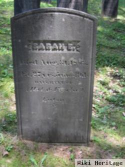 Sarah Eliza Eaton