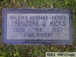 Theodore Joseph Hicks