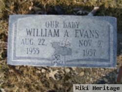 William A. Evans