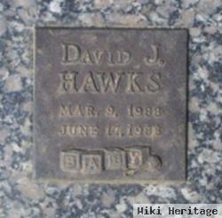 David James Hawks