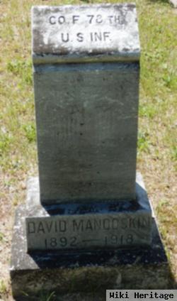 David Mandoskin
