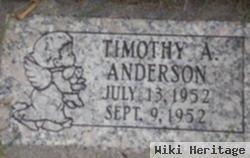 Timothy A Anderson