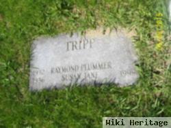 Raymond Plummer Tripp, Jr