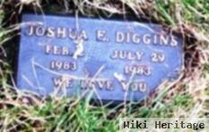 Joshua E Diggins