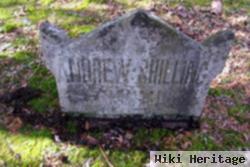 Andrew Shilling