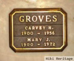 Mary J Groves