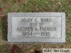 Mary Caroline Ward Parrish