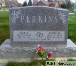 Mae Irene Henton Perkins