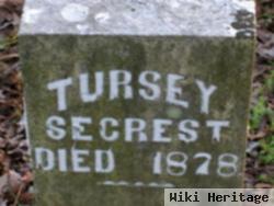 Theresa "tursey" Helms Secrest