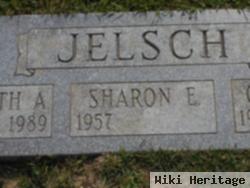 Sharon E Jelsch