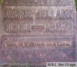 Wayne Bellamy