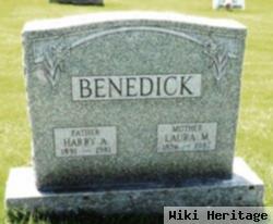 Harry A. Benedick