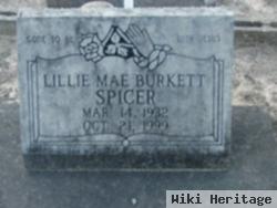 Lillie Mae Burkett Spicer