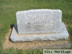 Lucinda C. Cummings Wallingford