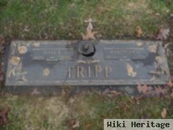 Dale Ernest Tripp