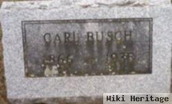 Carl Henry Busch