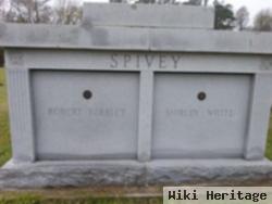 Robert Berkley Spivey