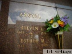 Steven L Angyal