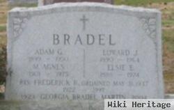 Adam G Bradel