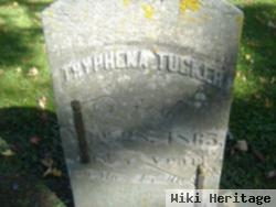 Tryphena Tucker