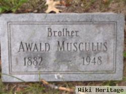 Awald Musculus