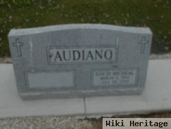 David Michael Audiano