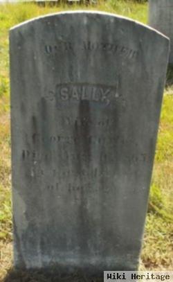 Sally Curles