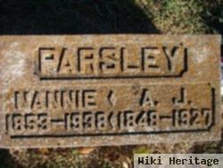 Nannie Ellen Cain Parsley