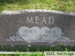 Ray H Mead