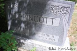 Peter Knott Lippincott