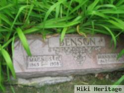 Magnus O Benson